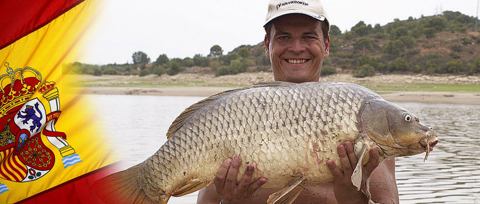 Giant carp